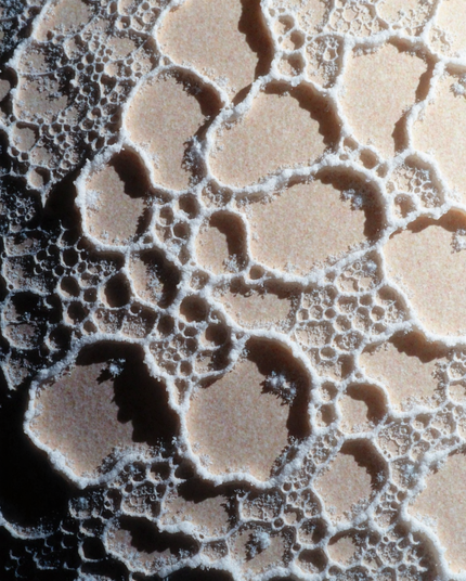 A close-up macro photograph of jagged frozen surfaces and glittering nitrogen crystals. The image features intricate patterns of icy textures in pale whites and browns, with subtle highlights and contrasts that showcase the fragile beauty of frozen formations, inspired by the surreal landscapes of Pluto.