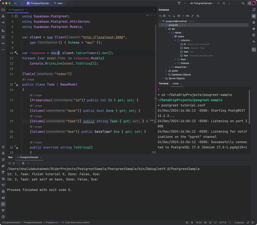 Showing postgrest API running inside JetBrains Rider. A C# codebase calls an API that is running off of a Postgres database.