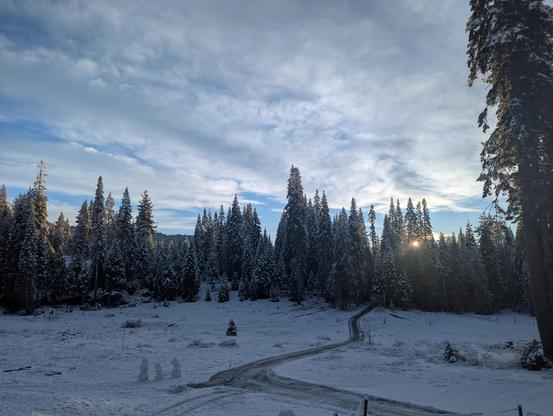 A snow covered meadow with the sun starting to come up through the trees