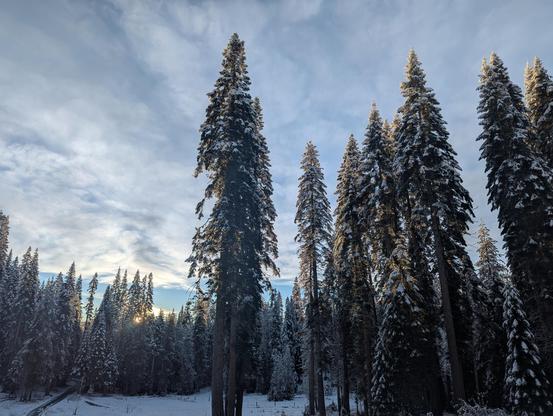 Snow of big timber