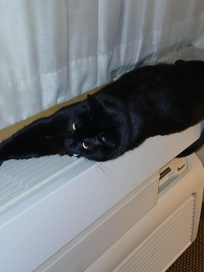 A picture of a black kitty with gold eyes, laying on her left side on top of a heater register.