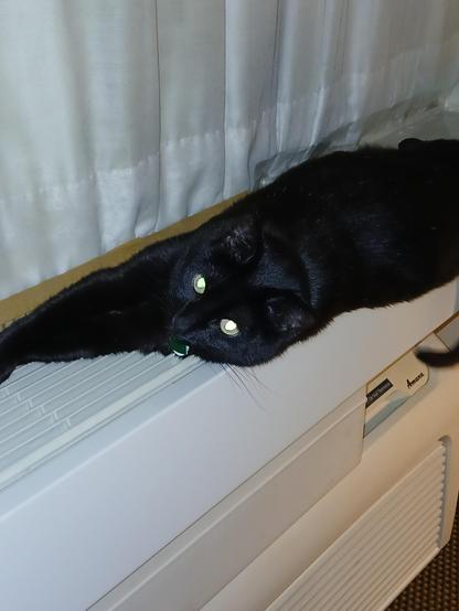 A second picture of a black cat with gold eyes laying on her left side on a heater register. This time she's got her head tilted up a little to look at the camera.