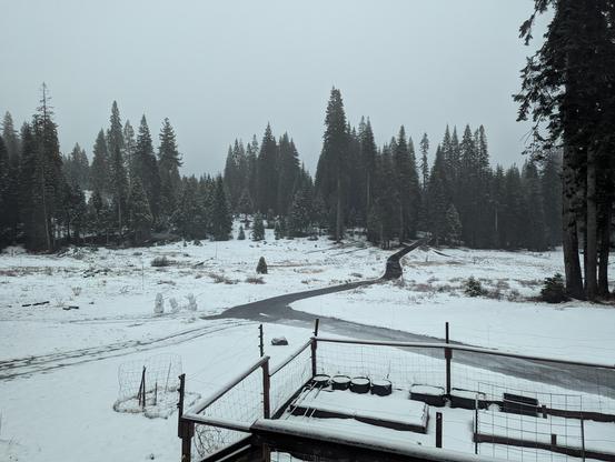 A cold snowy and wet meadow