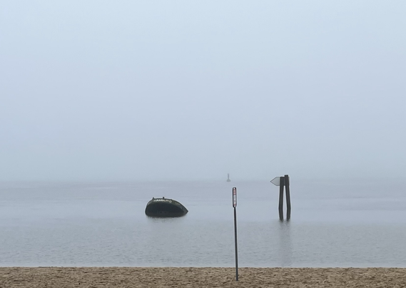 Elbe mit Schiffswrack und ganz viel Nebel