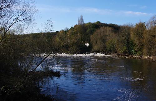 A photo titled "IMGP4695", taken near Mill Lane Pipe Bridge by mattbuck4950 on Flickr.