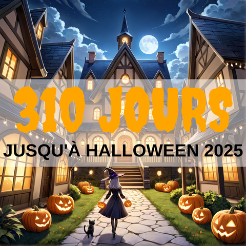 Image created using AI technology provided by Fooocus v2.5.5 (https://github.com/lllyasviel/Fooocus).
Front text: "310 jours jusqu'à Halloween 2025"