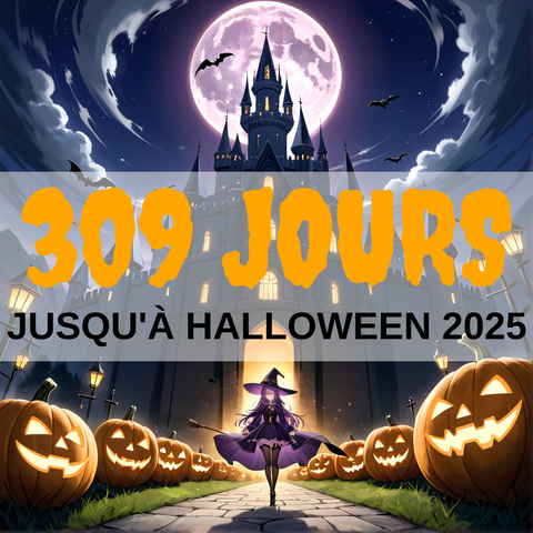 Image created using AI technology provided by Fooocus v2.5.5 (https://github.com/lllyasviel/Fooocus).
Front text: "309 jours jusqu'à Halloween 2025"
