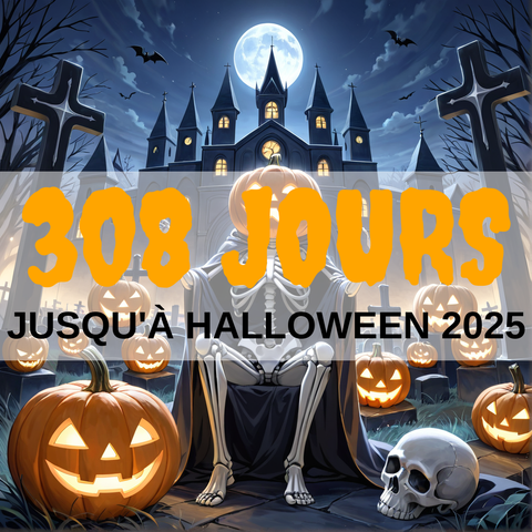 Image created using AI technology provided by Fooocus v2.5.5 (https://github.com/lllyasviel/Fooocus).
Front text: "308 jours jusqu'à Halloween 2025"