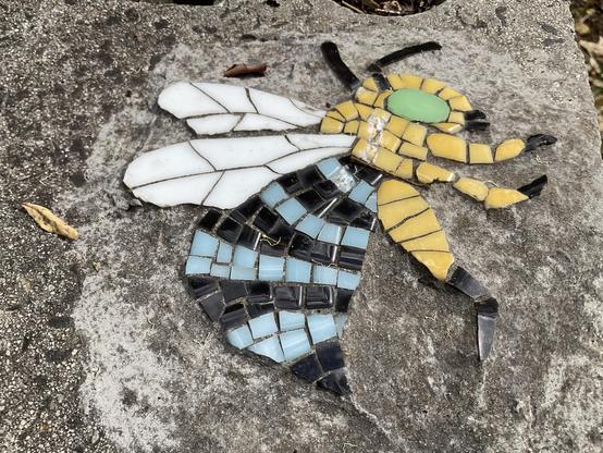 Blue banded bee 
‘Mosaic tiles 