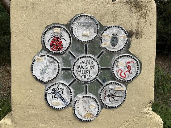 Mosaic tiles and white paint background.
Eight panels/circles in a circle with centre 9th circle 
Water bugs of Merri Creek
Water strider
Water Mites
Glass Shrimp
Damselfly Larvae
Toe biter
Leafy water scorpion 
Blood worms
Water boatman
