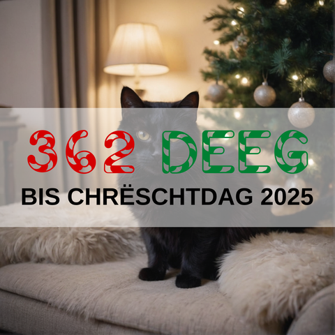 Image created using AI technology provided by Fooocus v2.5.5 (https://github.com/lllyasviel/Fooocus).
Front text: "362 Deeg bis Chrëschtdag 2025"