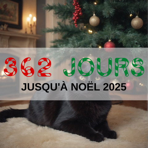 Image created using AI technology provided by Fooocus v2.5.5 (https://github.com/lllyasviel/Fooocus).
Front text: "362 jours jusqu'à Noël 2025"