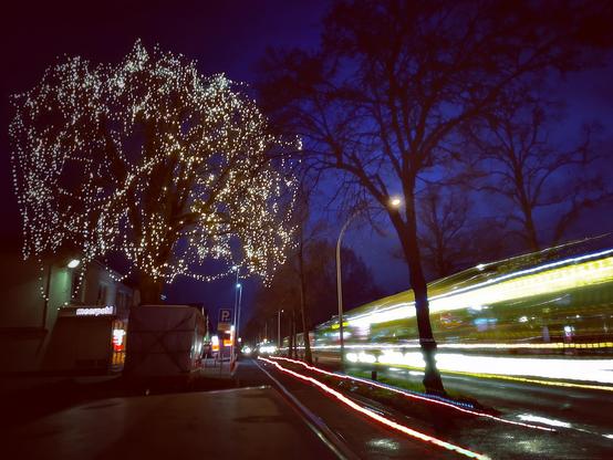 Eine Langzeitbelichtung einer vielbefahrenen Verkehrsstraße in einer Stadt mit mehreren Lichtstreifen auf Straße und Radweg. In einem großen Baum in der linken Bildhälfte ist eine riesige golden leuchtende Lichterkette angebracht, im Hintergrund dunkle Silhouetten von Bäumen und ein dunkelblauer Himmel. 