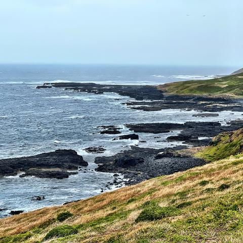 Philip island volcanic rocks, ocean, grass