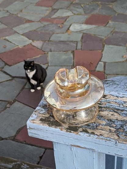 Photo taken outside with a Pyrex carnival glass insulator sitting on a blue railing with Gomez, large tuxedo cat, sitting on the stone ground below looking near me. 