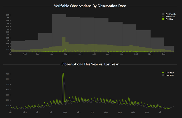 Two graphs showing the performance of iNaturalist data collection in 2024. Top one is a bar graph showing every day in the year with a bottom line with months. Showing number of verifiable observations by observation day. Bottom graph is a line graph showing the same period the number of observation. Source data at https://www.inaturalist.org/stats/2024 