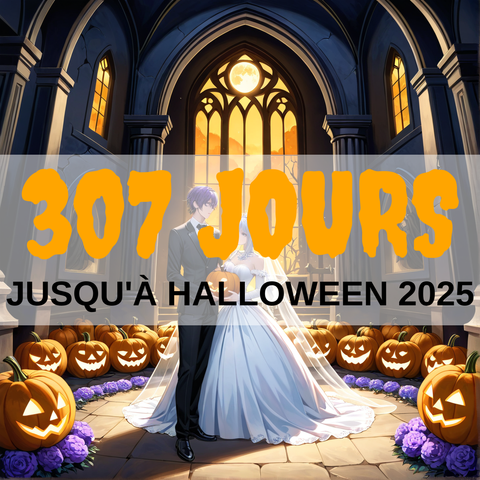 Image created using AI technology provided by Fooocus v2.5.5 (https://github.com/lllyasviel/Fooocus).
Front text: "307 jours jusqu'à Halloween 2025"