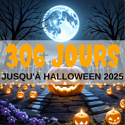 Image created using AI technology provided by Fooocus v2.5.5 (https://github.com/lllyasviel/Fooocus).
Front text: "306 jours jusqu'à Halloween 2025"