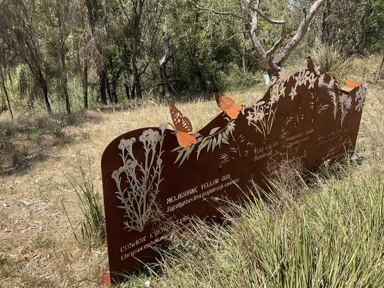 Another edge angle view of rusted brown metal public sculpture with silvery metal silhouettes of indigenous plants and butterflies 
Surrounding grasses green but browned by summer sunshine heat