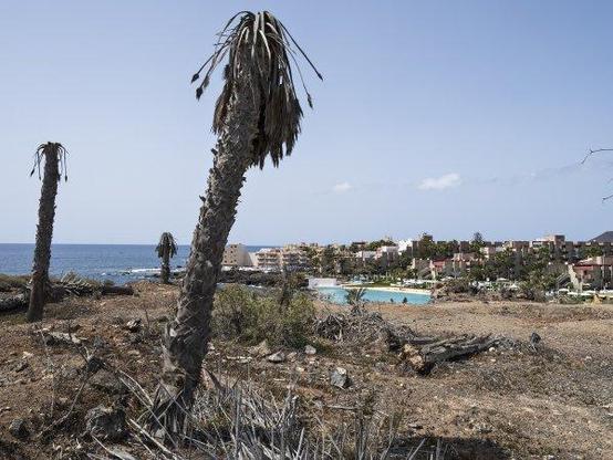 TERESA AROZENA, "REPOUSSOIR", 2024. COSTA DEL SILENCIO. TENERIFE.