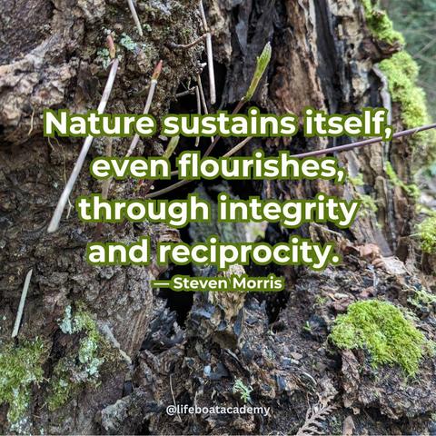 "Nature sustains itself, even flourishes, through integrity and reciprocity." ― Steven Morris
@lifeboatacademy

Closeup of big leaf maple tree trunk with a hole in it showing daylight through it. Mosses grow on the bark and sprouts for new very young branches are coming out of the hole.