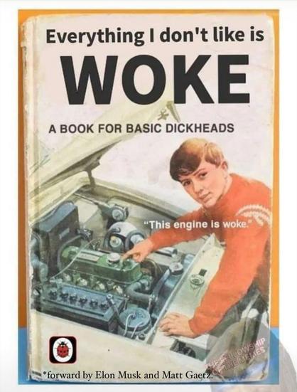 Book cover spoof reading 'Everything I don't like is woke, a book for basic dickheads' with a forward by Elon Musk and Matt Gaetz