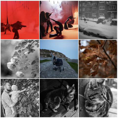 My top 9 most like posts on Instagram in 2024. Includes dancing, winter scenes, nature shots with blurry backgrounds, my wife and I and our baby, and a very cute tabby cat.