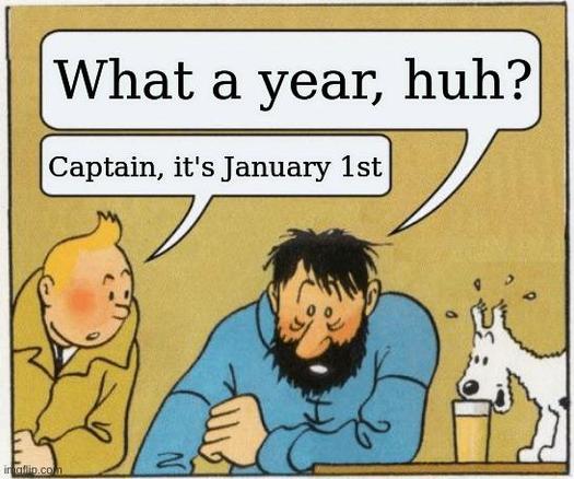Tim und Struppy + Captain Haddock Meme:
Captain Haddock: What a year, huh?
Tim: Captain, it's January 1st