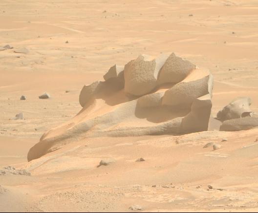 Crop of the linked photo, a floating rock or outcrop with ventifacts resembling a bird's head.