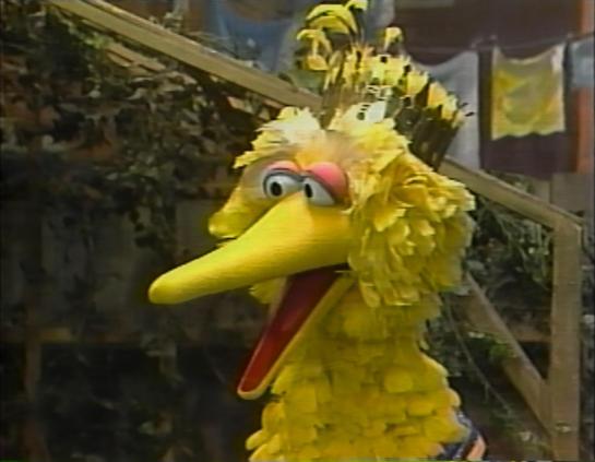 Big Bird from The Muppets.
