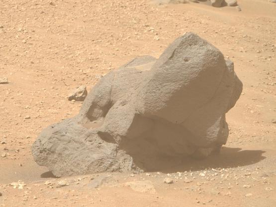 Crop of the linked photo, a fallen dark chunk of rock.