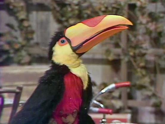 Photo of Juan Toucan.