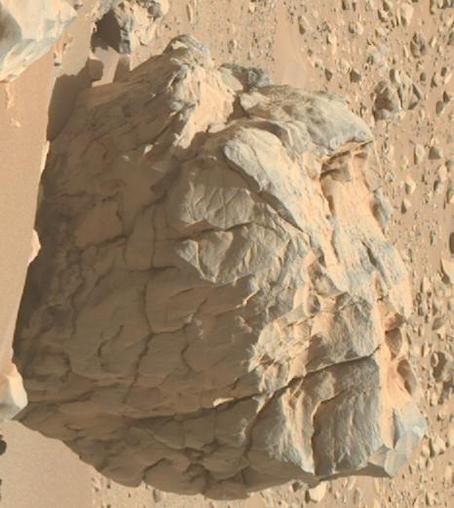 The linked photo, rotated and cropped to a boulder resembling a large head.
