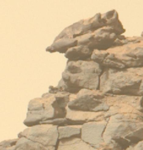 Snap of the linked photo focused on a part of the outcrop resembling a happy face in profile.