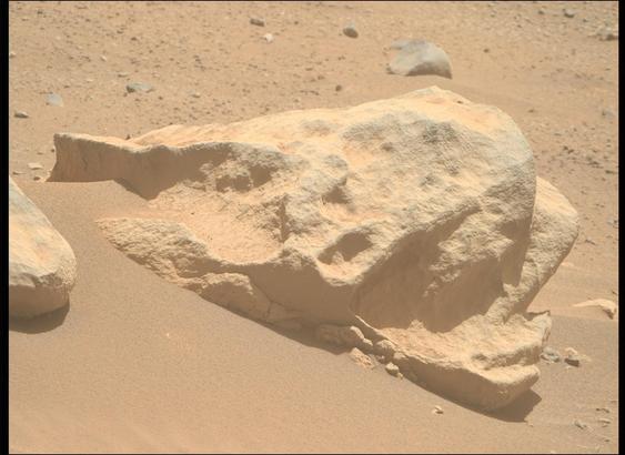 The linked image, a rock resembling a dead bird.