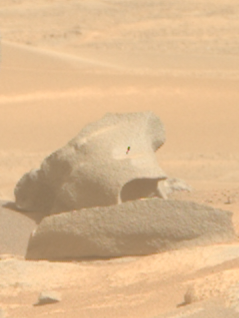 Crop from the linked photo, an eroded rock "howling with fear"