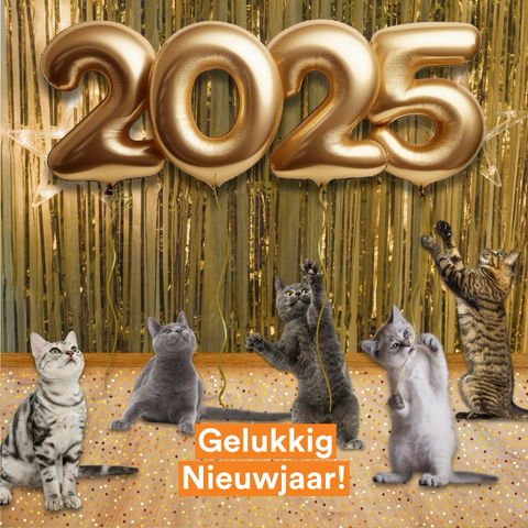 Grote gouden ballonnen met 2025. En op de voorgrond katten die de ballonnen proberen te pakken. Met de tekst Gelukkig Nieuwjaar!