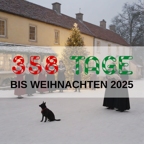 Image created using AI technology provided by Fooocus v2.5.5 (https://github.com/lllyasviel/Fooocus).
Front text: "358 Tage bis Weihnachten 2025"