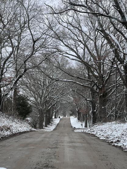 Driving down a country dirt road with overhanging trees; the bare branches are covered with snow, and snow is along the side of the road. 