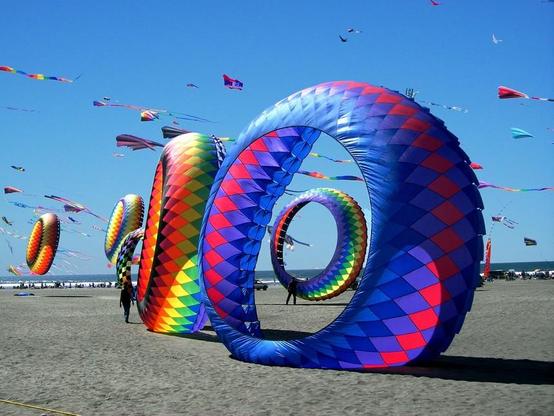 International Kite Festival at Rann Utsav