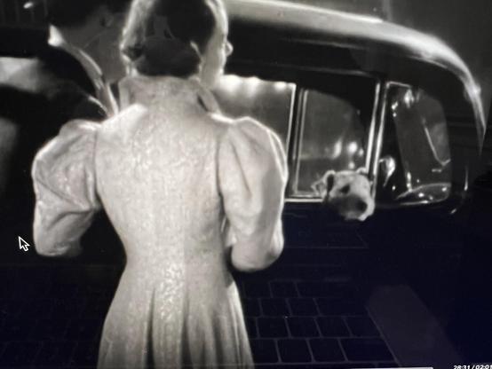 A vintage black and white image featuring a woman in a puffy-sleeved dress standing near a car, with a small dog peeking out from the front passenger seat.