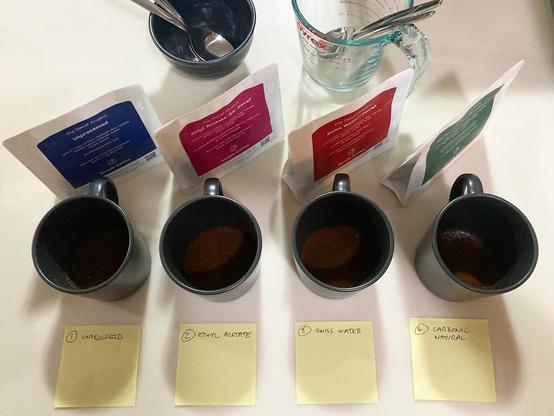 A simple coffee cupping setup - four different coffees in grey ceramic mugs, pyrex jug for the spoon rinse and a bowl for brew discards. This was 3/4 decaf so we didn't bother spitting any coffee out.