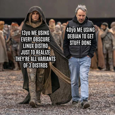 The meme compares a 13-year-old using various obscure Linux distributions only to realize they're all variants of 3 distributions, with a 40-year-old using Debian to get stuff done. 