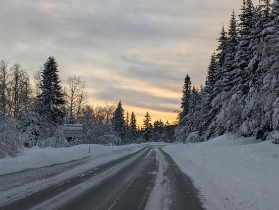 Neben der Straße stehen rechts und links Tannenbäume, die Straße und die Bäume sind voller Eis und Schnee.