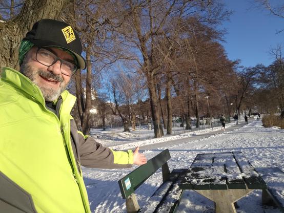 we saved you a seat: park bench along wintery trail