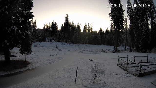 a bit of snow on the trees and in the meadow just before sunrise