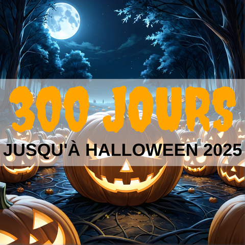 Image created using AI technology provided by Fooocus v2.5.5 (https://github.com/lllyasviel/Fooocus).
Front text: "300 jours jusqu'à Halloween 2025"