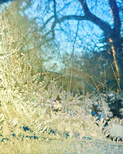 Frosty ice art patterns on the corner of a window,looking gold with the morning sunlight shining through. Blurred background is blue sky and trees. 