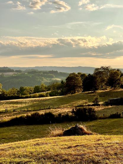 Landscale with fields, forest shot at 77mm