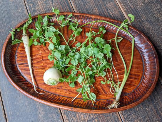 The 7 herbs needed for Nanakusa-no-sekku.